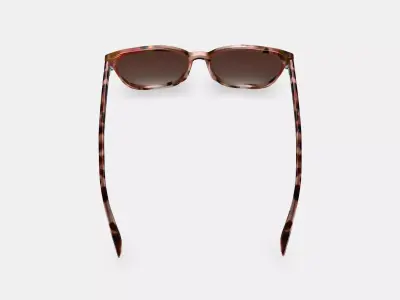 Esme Sunglasses in Sesame Tortoise Low-poly 3D model