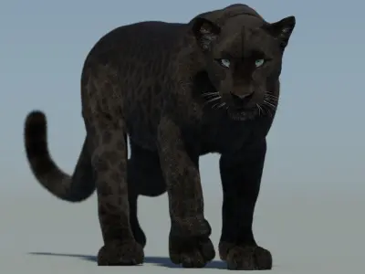 Animated Black Panther 3D Model with Fur 3D model