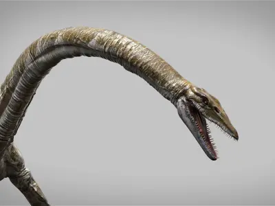 Elasmosaurus Rigged Low-poly 3D model