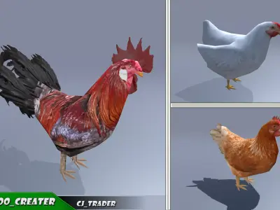 Low-Poly Chicken Collection Pack Rigged-Animated 3D Model Low-poly 3D model
