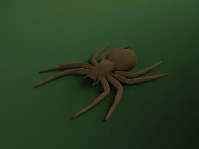 A small Spider 3D print model