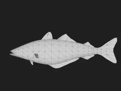 Coalfish Low-poly 3D model