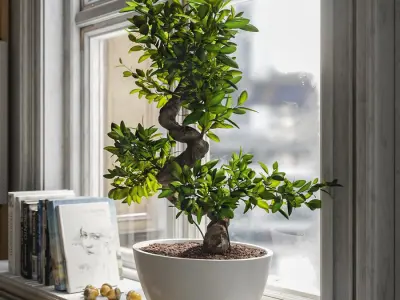  Bonsai Potted Plant Model  purchase