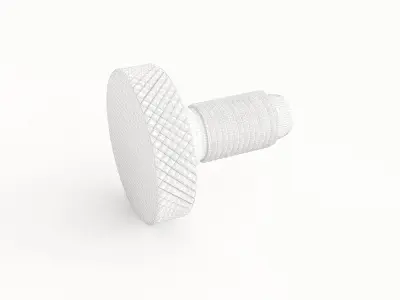 Screw 162 3D model