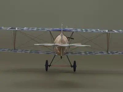 Albatros  Low-poly 3D model