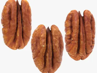 Pecan - 3D Scanned Collection 3D model