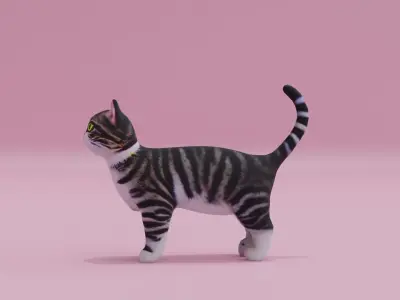 Cat Realistic Stripe Ribbed Free low-poly 3D model
