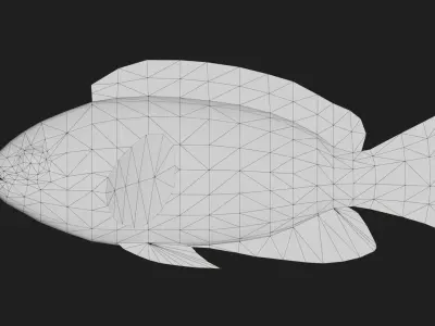 Snapper Low-poly 3D model 8