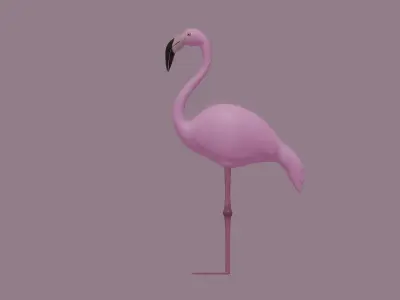 Flamingo 3D model buy