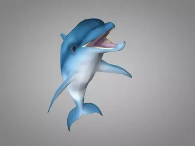 Dolphin Low-poly 3D model order