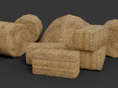 Hay Collection Low-poly 3D model