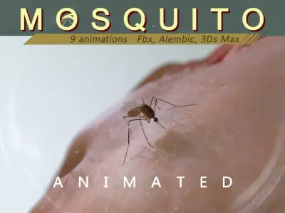 Mosquito 3D model shop