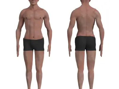 Complete Human Body Anatomy - Muscles Skeleton Internal Organs 3D model