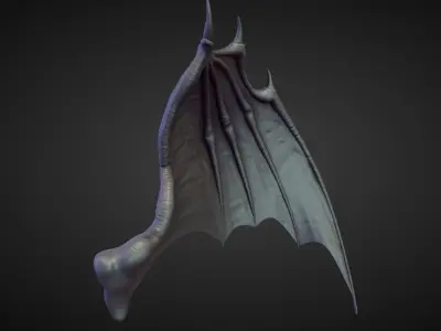 WING29 high poly sculpt 3D model