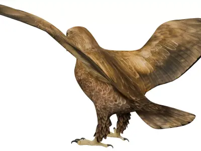 Eagle 3D model get