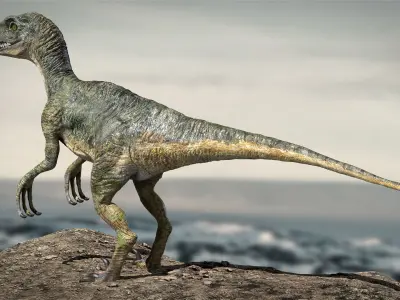 Velociraptor Animated Rigged 3D model Low-poly 3D model