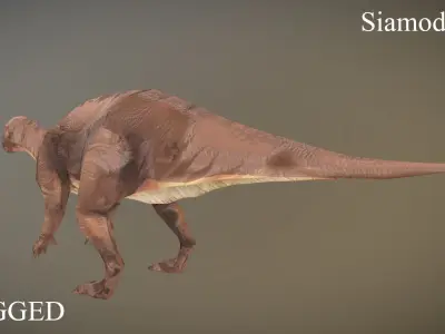 Thai Dinosaur Siamodon Low-poly 3D model
