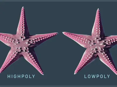 Starfish Variety Pack 3 Low-poly 3D model