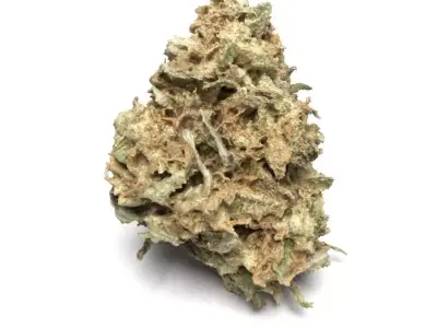 Cannabis Bud 03 3D model