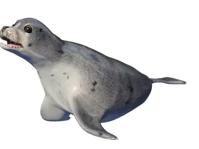 Seal animal Low-poly 3D model