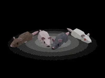 Low Poly Rat Low-poly 3D model