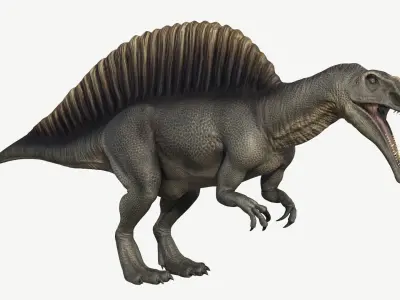 Spinosaurus dinosaur Low-poly 3D model get
