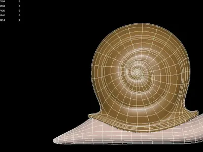 Snail 3D model shop