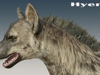 Hyena Rigged Low-poly 3D model