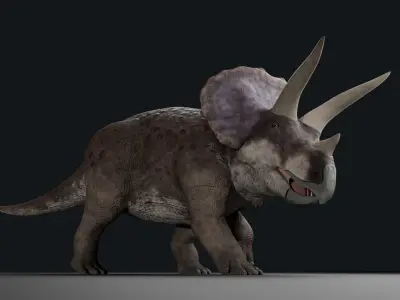 Triceratops - Rig 3D model