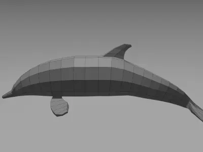Dolphin Low-poly 3D model buy