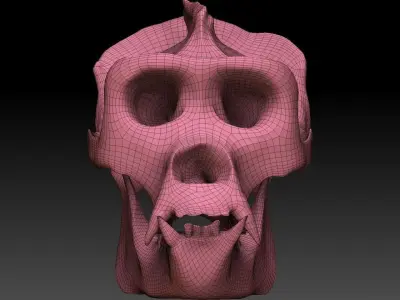 Ape Skull Scan 3D model