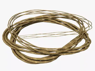 Rope from Four Cords 3D model