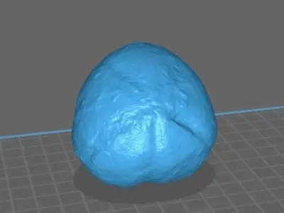 Cretaceous Echinoid Macraster complete Free 3D print model