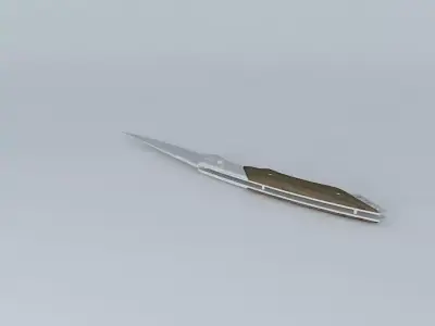 knife Free 3D model shop