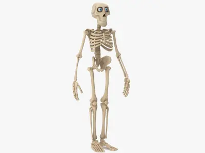  Cartoon Skeleton 