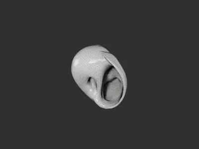 Sea Shell 1 3D model