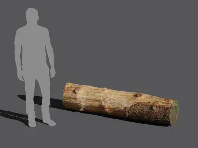  Small Cut Bare Log Model 