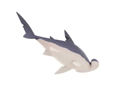 Character072 Bonnet Head Shark 3D model