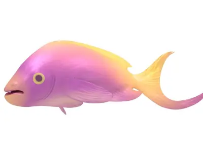 Fish Purple-Yellow 3D model