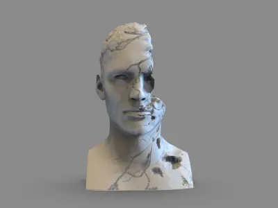 Broken Bust 3D print model