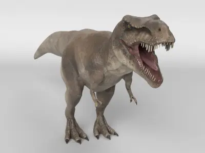 Tyrannosaurus Rex 3D model 8