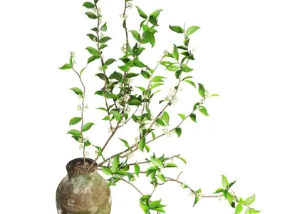Blooming Twig Arrangement in Antique Pot Low-poly 3D model