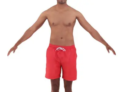 Amit Rigged 012