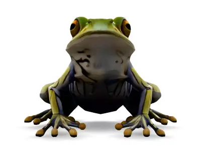 Stylized SemiTransparent Frog Low-poly 3D model