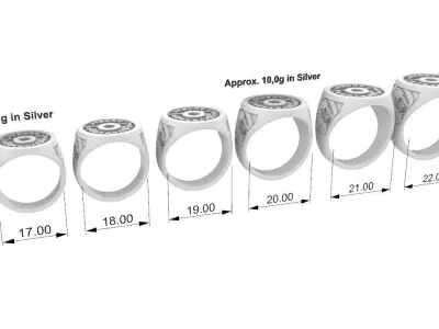 Weight Plate Ring - Anel Anilha 3D print model