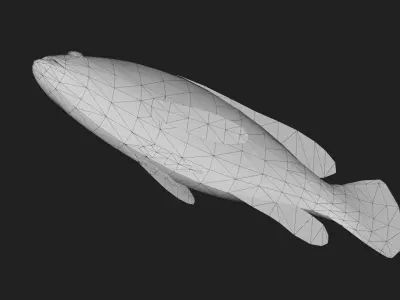 Grouper Low-poly 3D model purchase