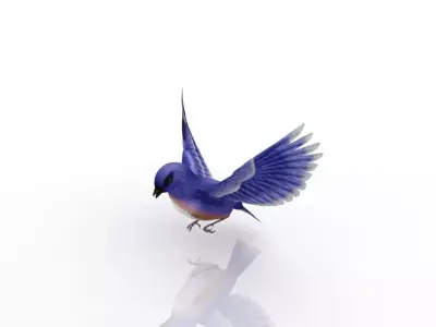 beautiful bird 3D model