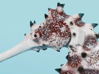 Spiny Seahorse Rigged Animated 3D model
