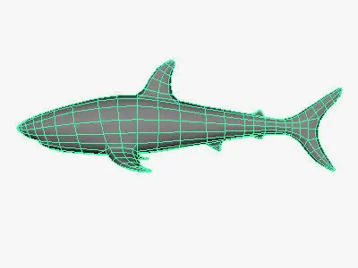 Low Poly Shark Low-poly 3D model purchase