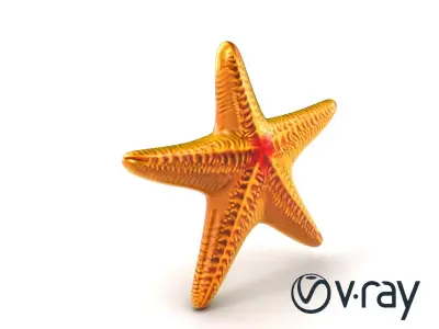 Textured Starfish Marine Creatures model pack Low-poly 3D model